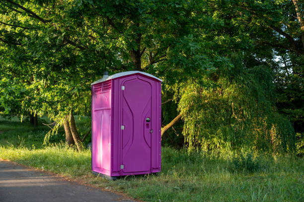 Best Affordable porta potty rental  in Louisburg, KS